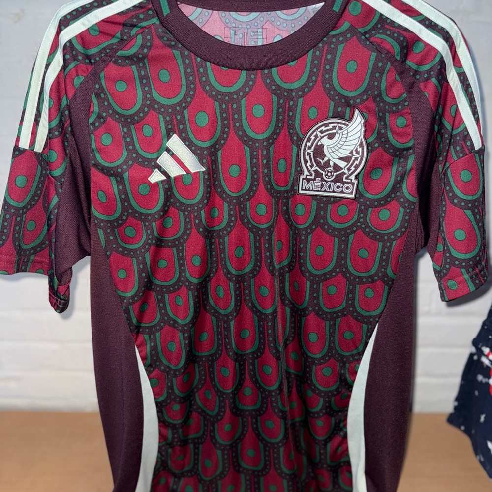 Adidas Maroon and Green Graphic Jersey